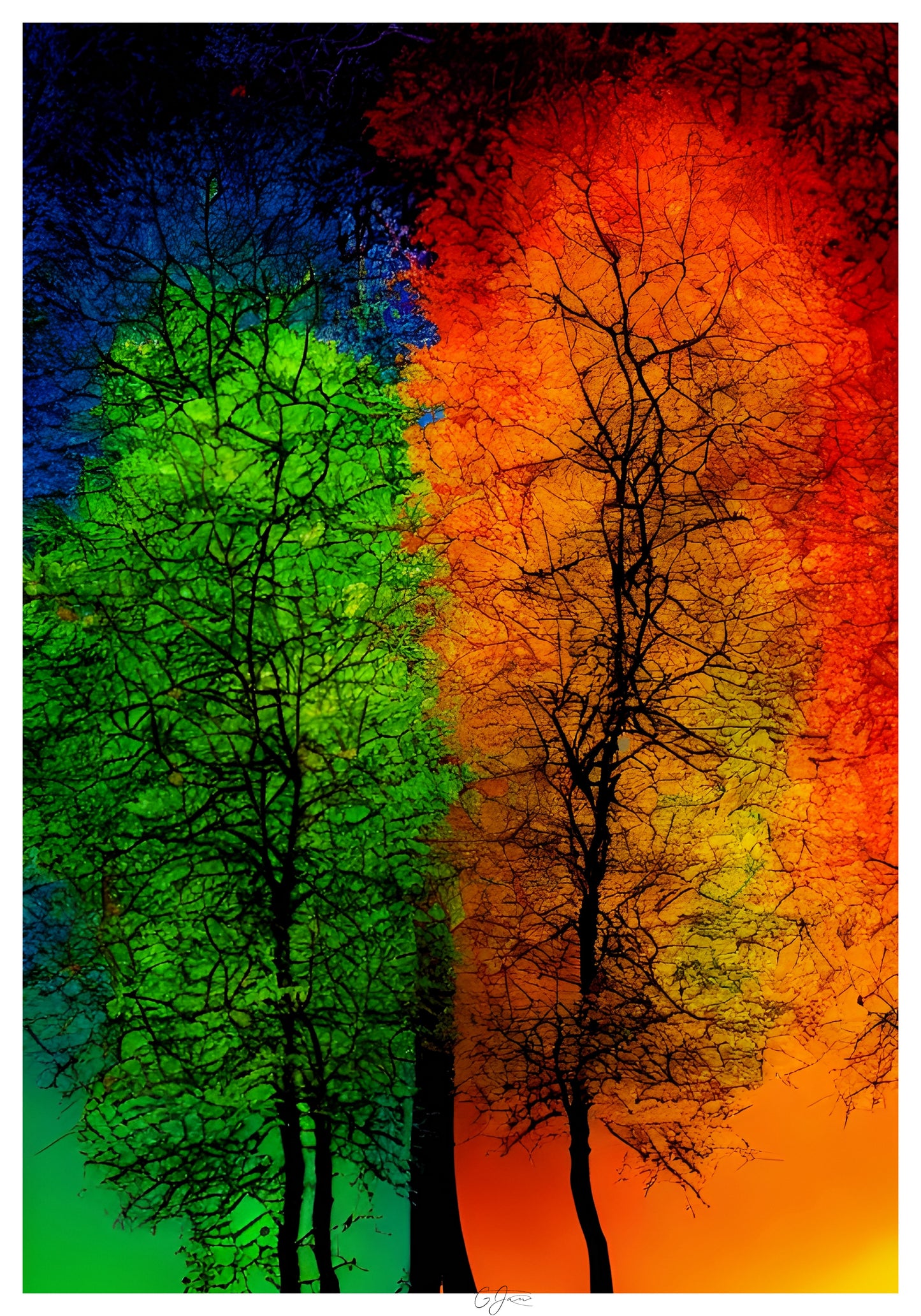Harmony